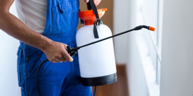 Como fazer dedetização em casa em Florianópolis