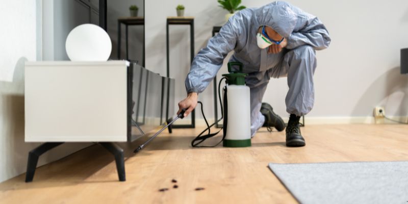 Quanto tempo dura uma dedetização em Florianópolis?